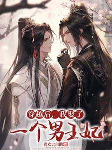 穿越后,我娶了一个男王妃
