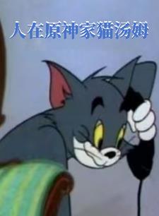 原神:汤姆帮我弥补遗憾