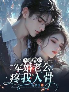闪婚:和军婚老公生龙凤胎