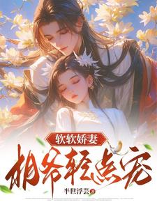 软软娇妻,相爷轻点宠