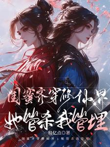 红楼：荣国府姨娘致富日常