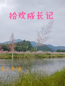 异世尸神：秦风的崛起之路