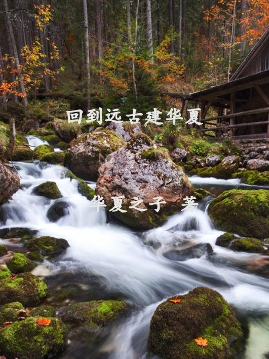 穿成反派只想苟,不料女主成为我舔狗
