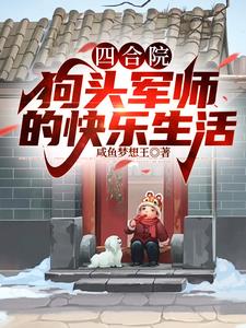 四合院:官运亨通